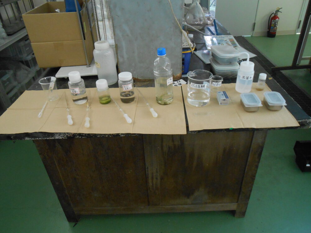 C科体験授業【C4】「水をきれいにする微生物の顕微鏡観察と水質浄化実験」が開講されました